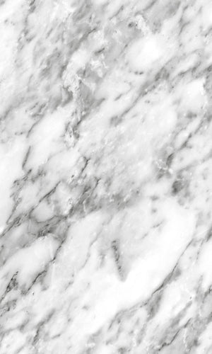 Origin Black and White Art Deco Marble 139119