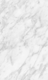 Origin White and Gray Art Deco Marble 139195