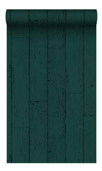 Origin Emerald Green Weathered Wooden Planks 347536