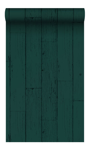 Origin Emerald Green Weathered Wooden Planks 347536