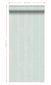 Origin Mint Green Weathered Wooden Planks 347540