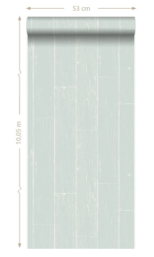 Origin Mint Green Weathered Wooden Planks 347540