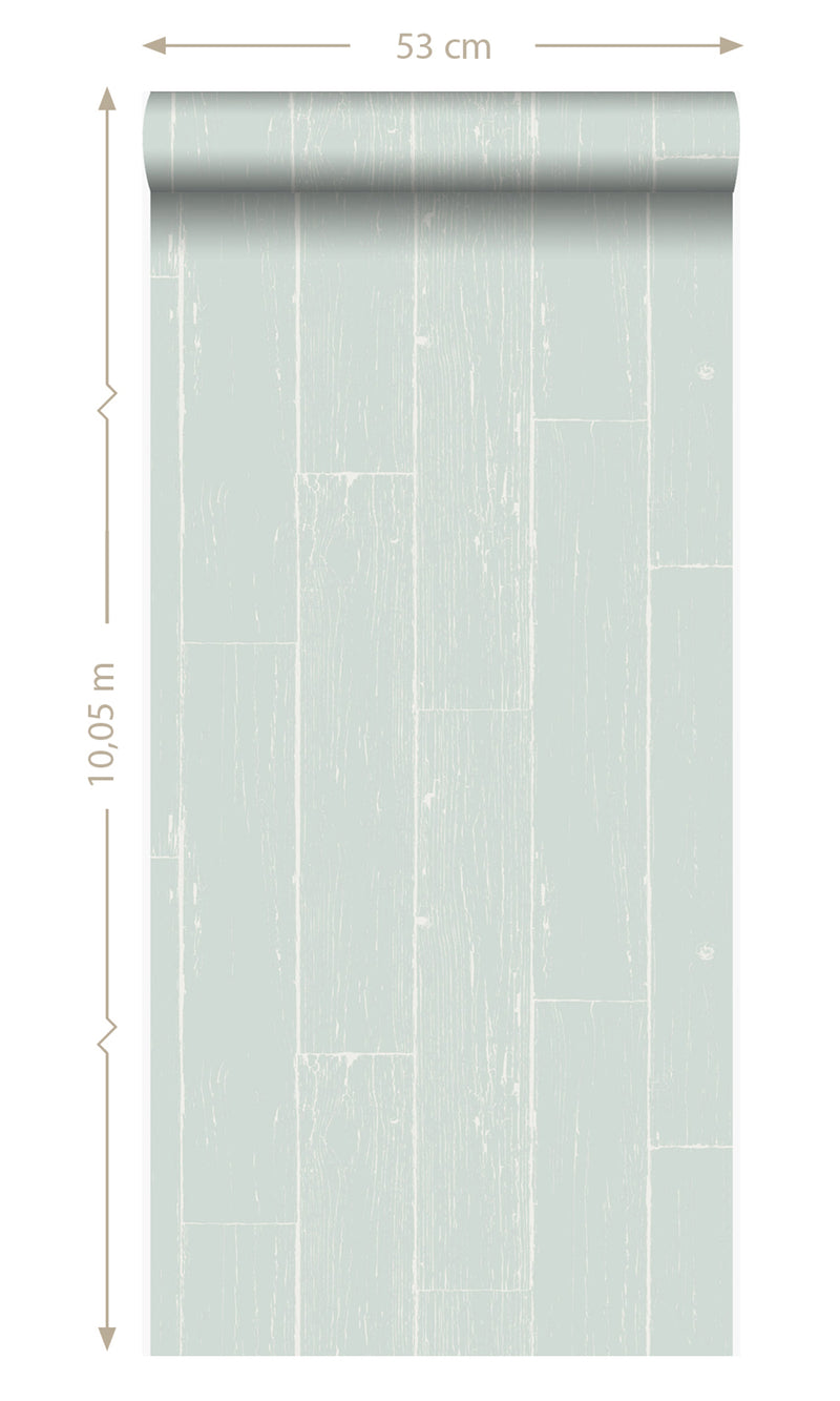 Origin Mint Green Weathered Wooden Planks 347540