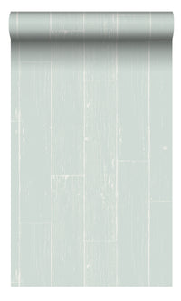 Origin Mint Green Weathered Wooden Planks 347540