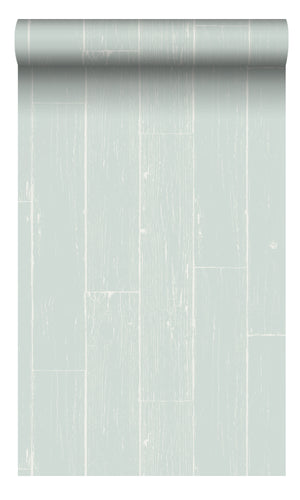 Origin Mint Green Weathered Wooden Planks 347540