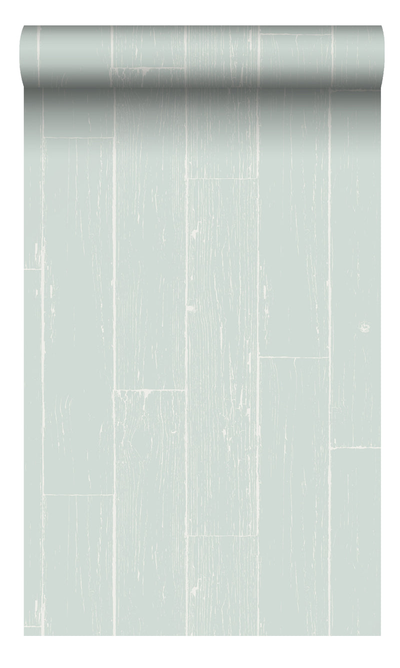 Origin Mint Green Weathered Wooden Planks 347540