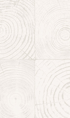 Origin Ivory White Cross-Sections Tree Trunks 347546