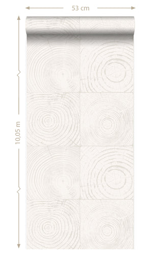 Origin Ivory White Cross-Sections Tree Trunks 347546