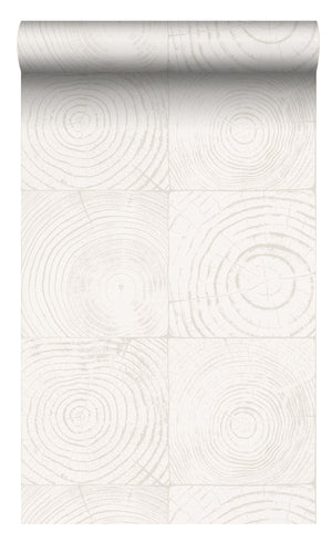 Origin Ivory White Cross-Sections Tree Trunks 347546