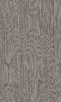 Origin Taupe Wooden Planks With Wood Grain 347556