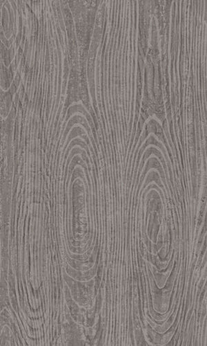 Origin Taupe Wooden Planks With Wood Grain 347556