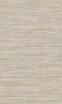 Textura Rete Grey 66200