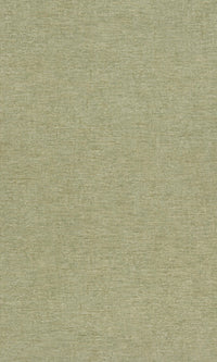 Neutral Green Precious Weaves Dakota - Plain PW1315