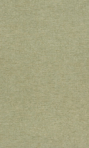 Neutral Green Precious Weaves Dakota - Plain PW1315