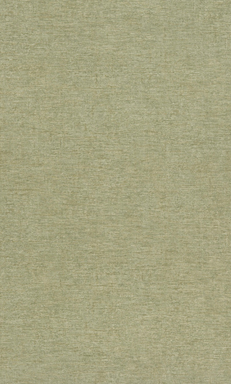 Neutral Green Precious Weaves Dakota - Plain PW1315