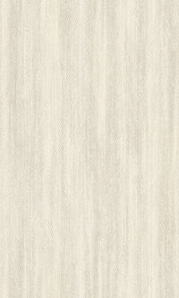 Textured Vibes Arcana Beige 205101