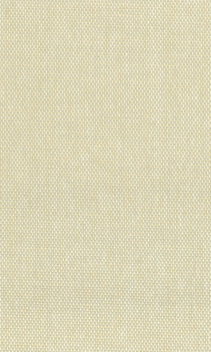 The Textured Paper Art Curtis Sand N-NP6001