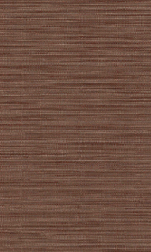 Imani Adania Cioccolato IM28041