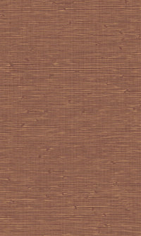 Imani Belize Spiced Cinnamon IM28050