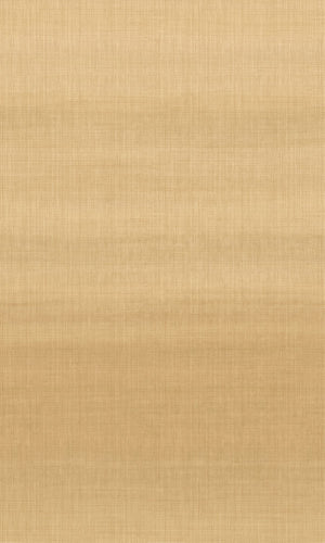 Imani Montserrat Burning Gold IMD28111