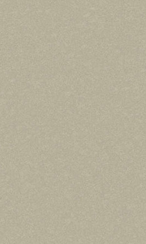 Sand Storm Plain Vinyl Commercial CPW1039