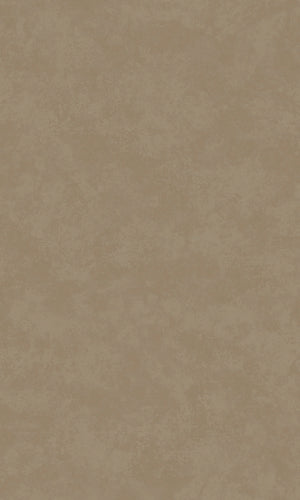 Arboretum Taupe Kanso 91731