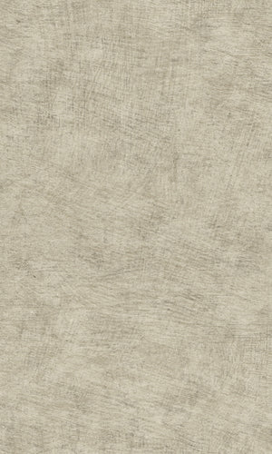 Herbarium Taupe Pampas Plain HE27206