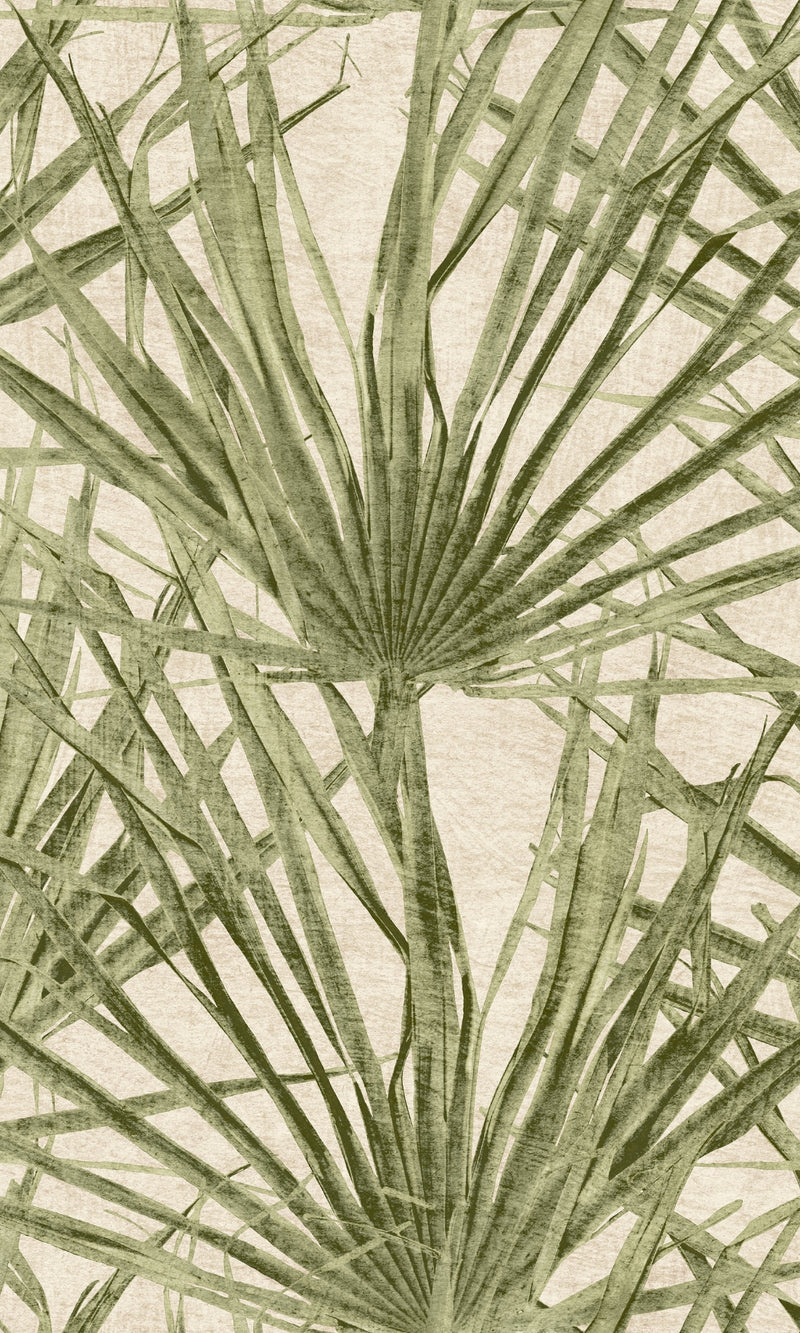 Herbarium Turtle Green Palm HE27262