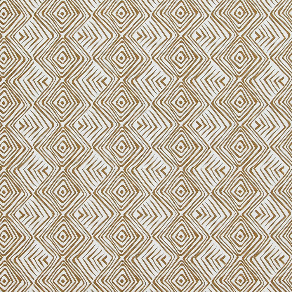 Designed for Living Tribal Zoom Wallpaper 17643