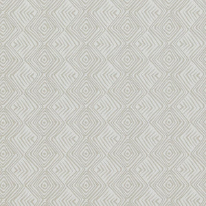 Designed for Living Tribal Zoom Wallpaper 17644