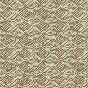 Designed for Living Tribal Zoom Wallpaper 17645