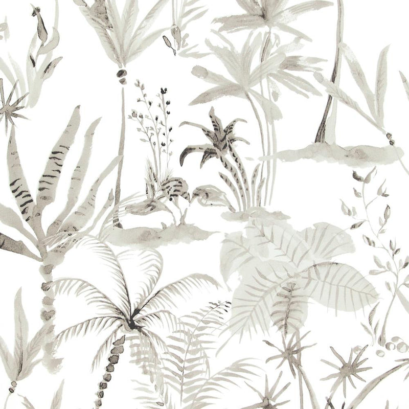 Designed for Living Desert Tropics Wallpaper 17660