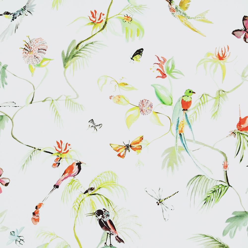 Designed for Living Humming Bird Wallpaper 17710