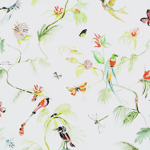 Designed for Living Humming Bird Wallpaper 17710