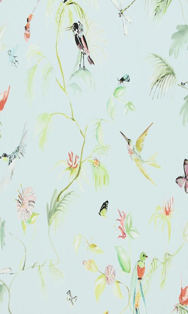 Designed for Living Humming Bird Wallpaper 17711