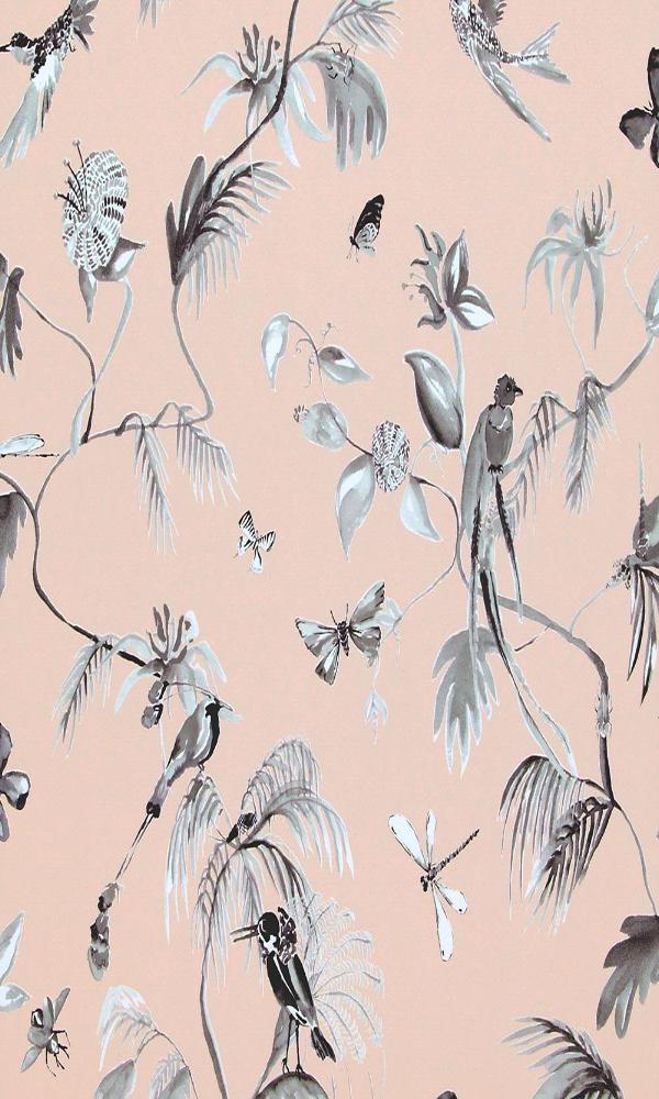 Designed for Living Humming Bird Wallpaper 17713