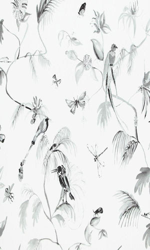 Designed for Living Humming Bird Wallpaper 17716