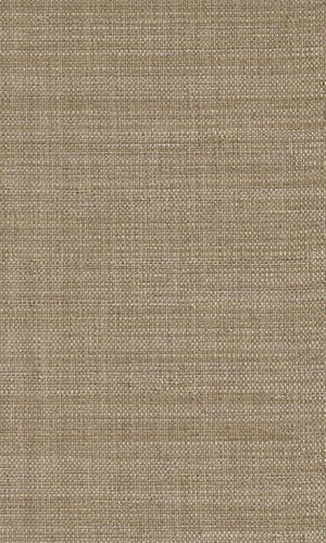 Allure Fine Woven Grasscloth Wallpaper 213811