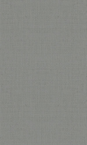 Casual Grey Textured Plain Weave 30449