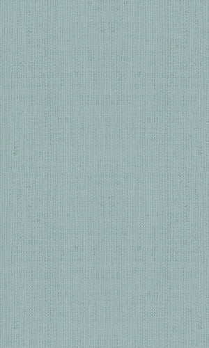 Casual Pale Blue Textured Plain Weave 30453