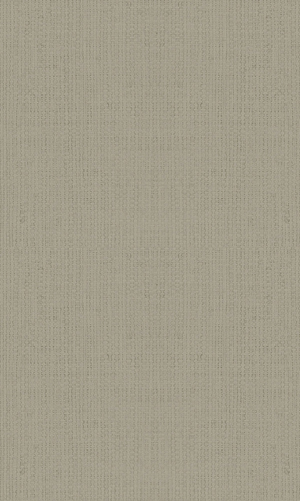 Casual Sandy Grey Textured Plain Weave 30462