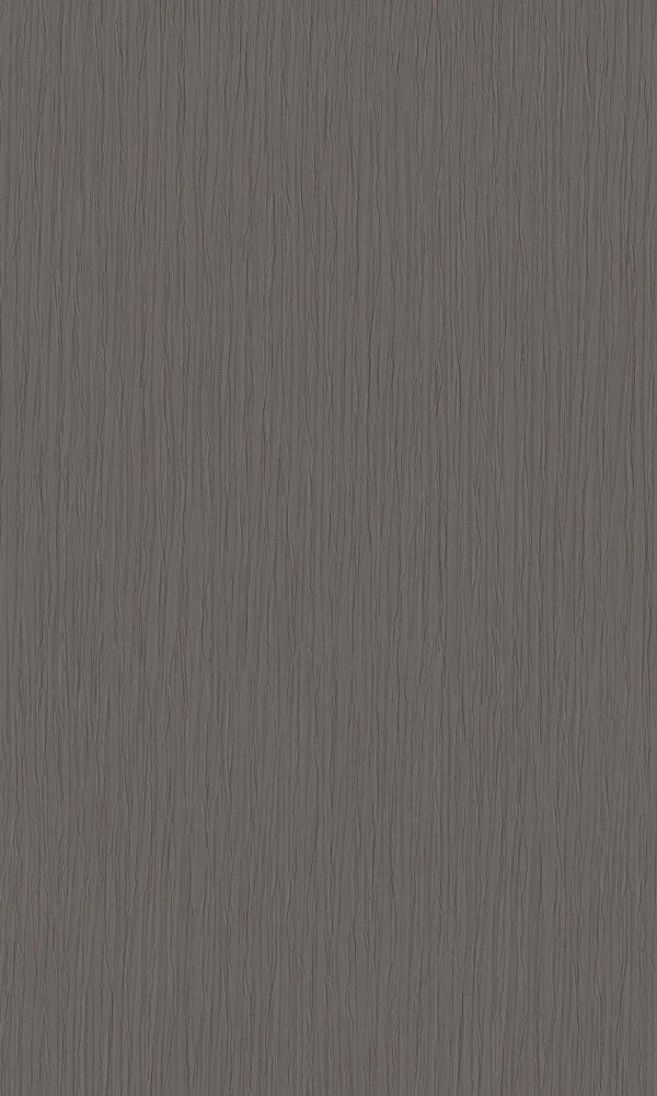 Texture Stories Champagne Dark Grey Wrinkled Wallpaper 45681