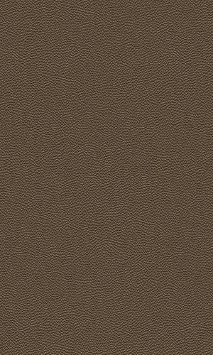 Cosmopolitan Rough Leather Wallpaper 576016