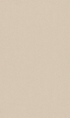 Cosmopolitan Rough Leather Wallpaper 576047