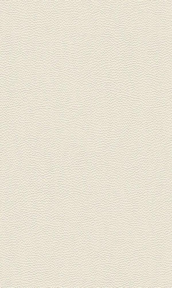 Cosmopolitan Rough Leather Wallpaper 576054