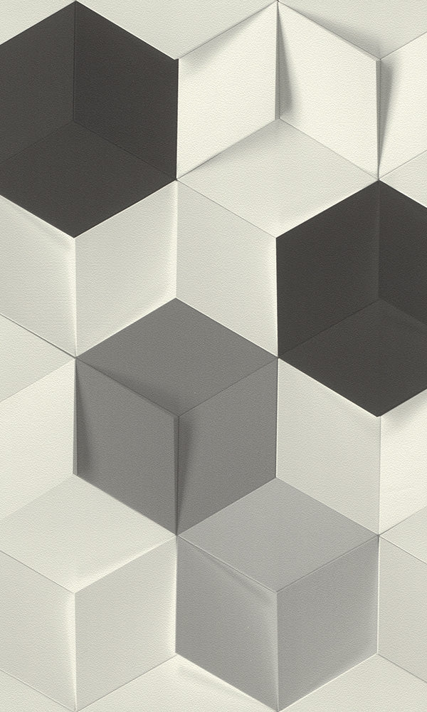 Modern Motifs 2.0 Dark Grey Uneven Dimensional Cubes 622324