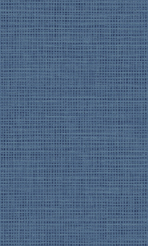 Graphite Blue Mesh Weave RM90902