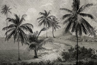 Engraved Tropical Landscape Wallpaper Mural AZ001