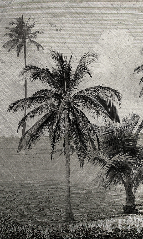 Engraved Tropical Landscape Wallpaper Mural AZ001