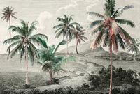 Engraved Tropical Landscape Wallpaper Mural 2 AZ003